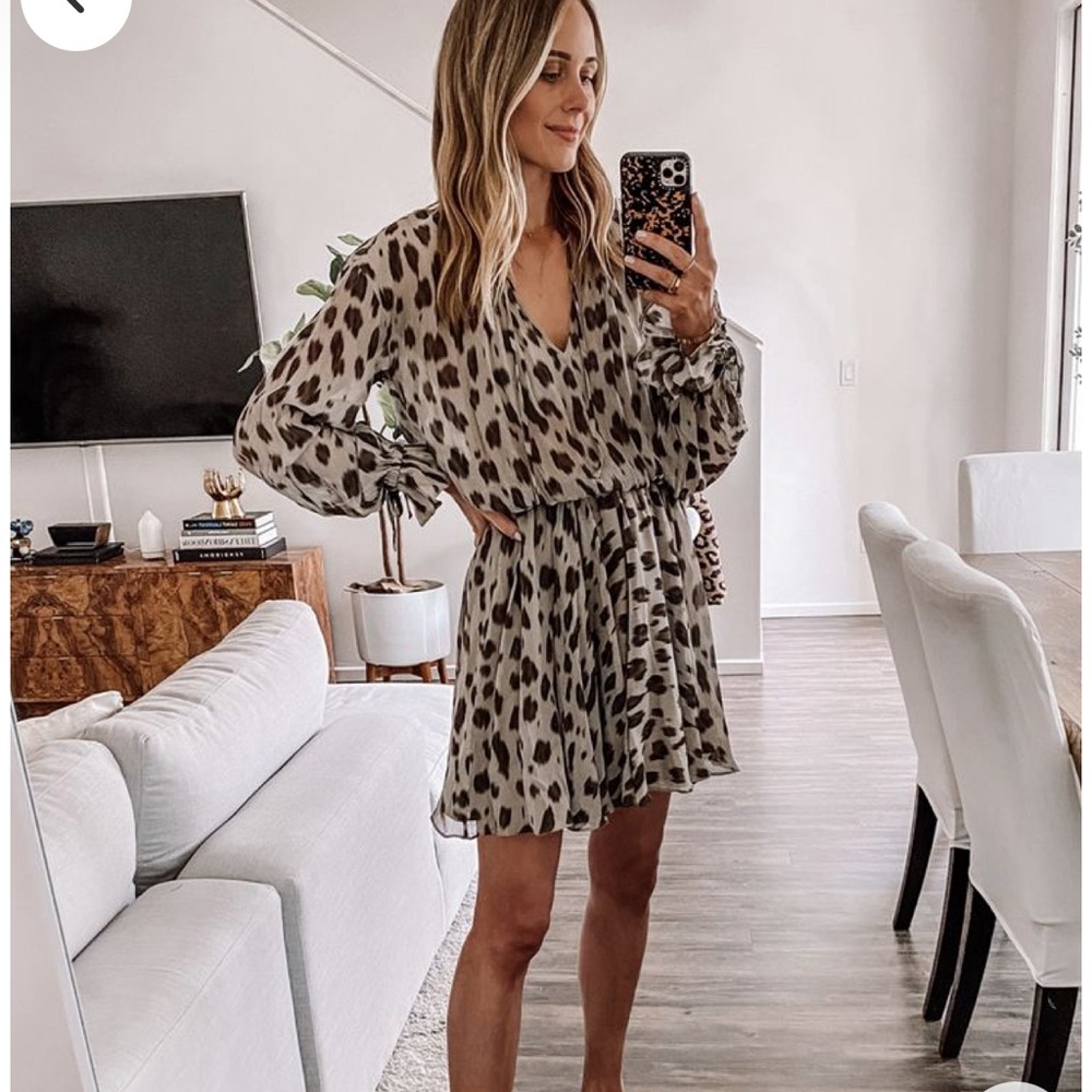 Silk Dress Anine Bing